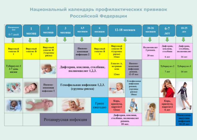 Национальный календарь прививок